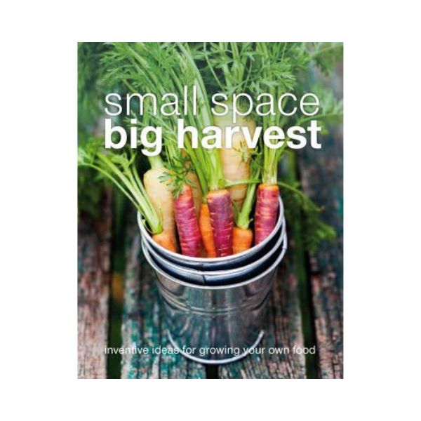 Small Space Big Harvest - Jennifer Wilkinson